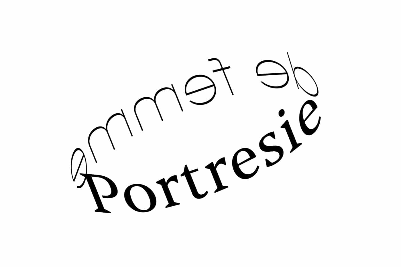 Logo Portresie de femme positiv